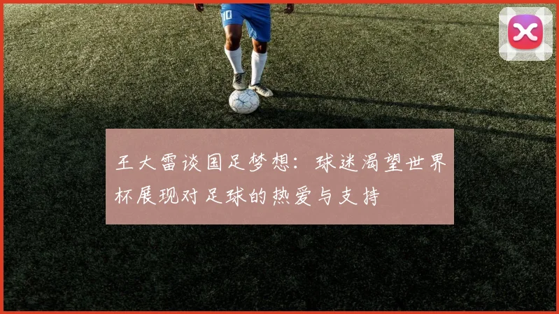 王大雷谈国足梦想：球迷渴望世界杯展现对足球的热爱与支持