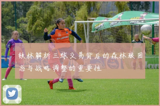 铁林解析三球交易背后的森林狼困惑与战略调整的重要性